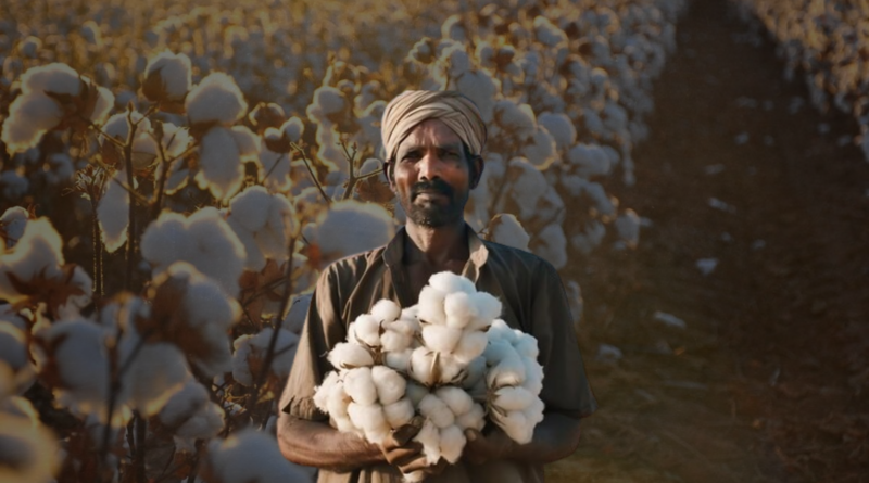 Haryana cotton farmers subsidy 2026 through PACS and cooperative societies